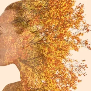 Healer Certification Training | 12-Month Certification - 13-Month Plan